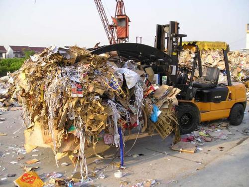 හින්ග් බ්‍රෝක් ෆෝක්ස්